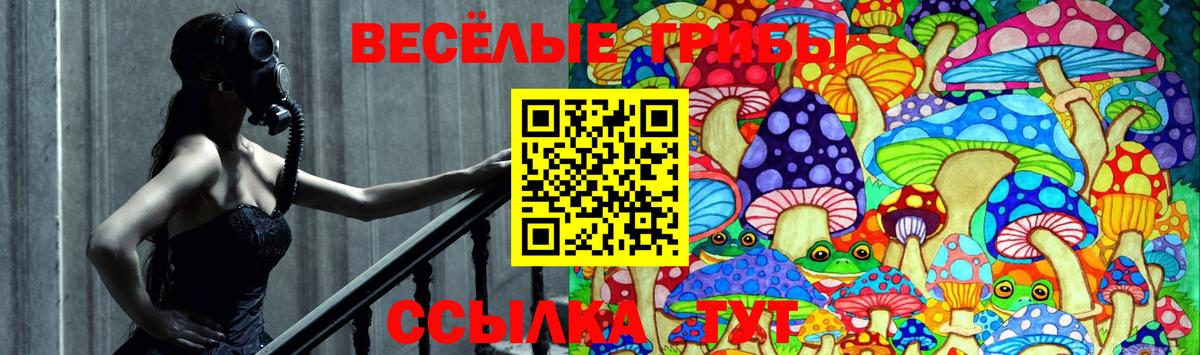 как найти закладки  Псилоцибиновые грибы Magic Shrooms  Вход с VPN  Кизилюрт 
