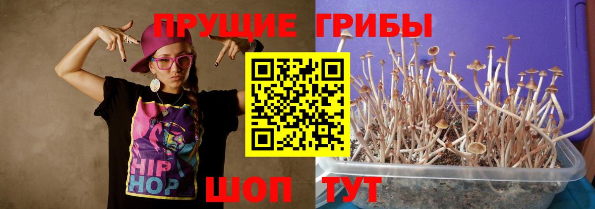 Галлюциногенные грибы прущие грибы Кизилюрт
